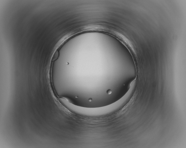 X0000111171330200907291115