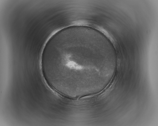 X0000111171331200907291115