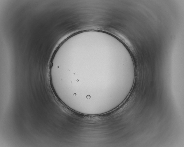 X0000111171332200907291115