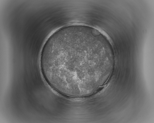 X0000111171333200907291115