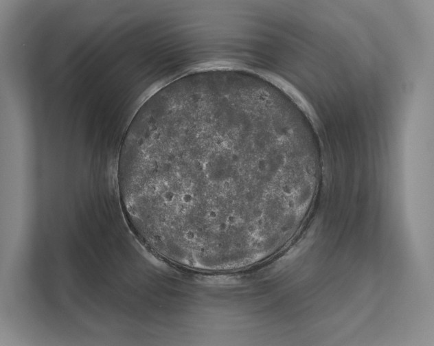 X0000111171337200907291115