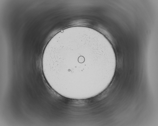 X0000111171338200907291115