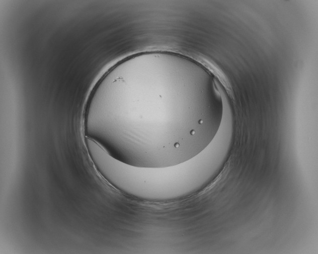 X0000111171340200907291115