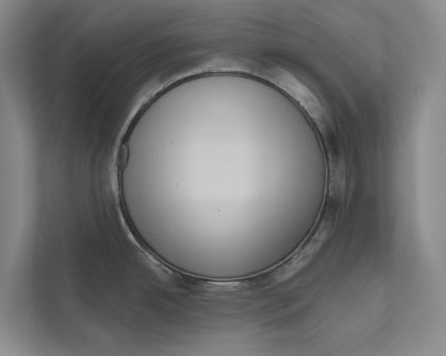 X0000111171342200907291115