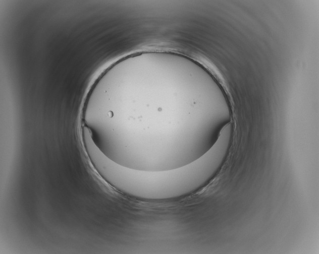 X0000111171344200907291115