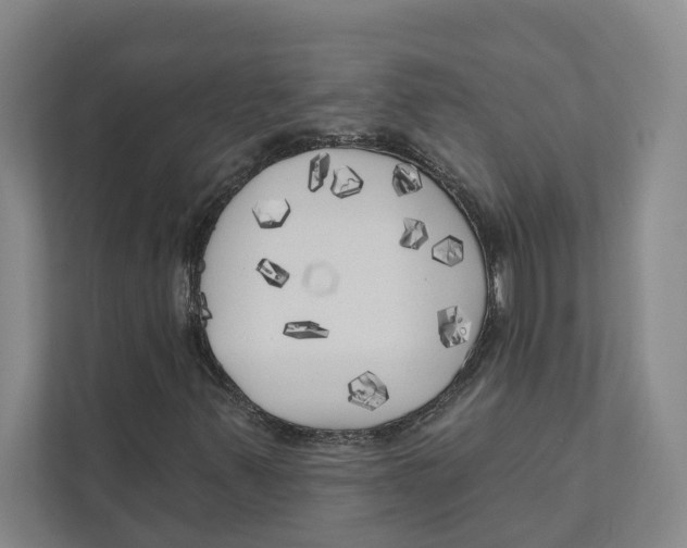 X0000111171347200907291115
