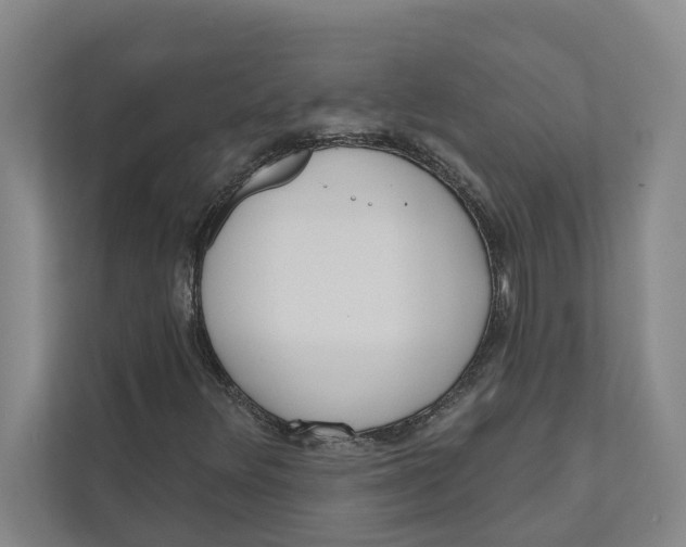 X0000111171348200907291115