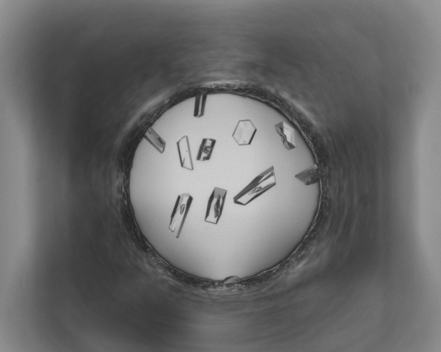 X0000111171351200907291115