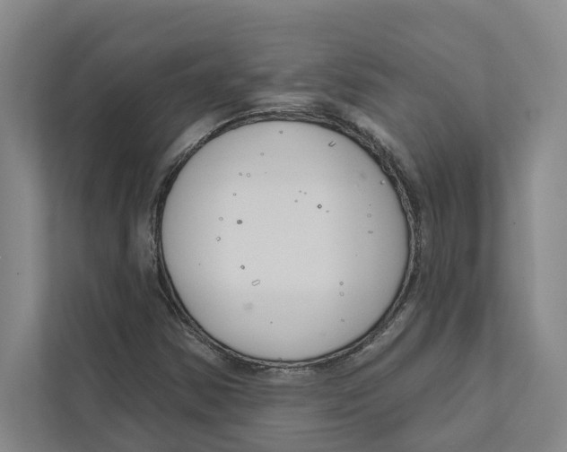 X0000111171354200907291115