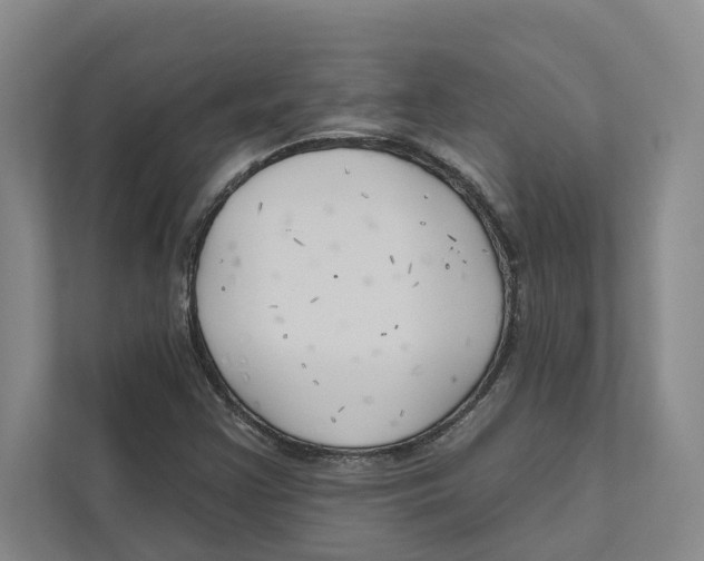 X0000111171355200907291115