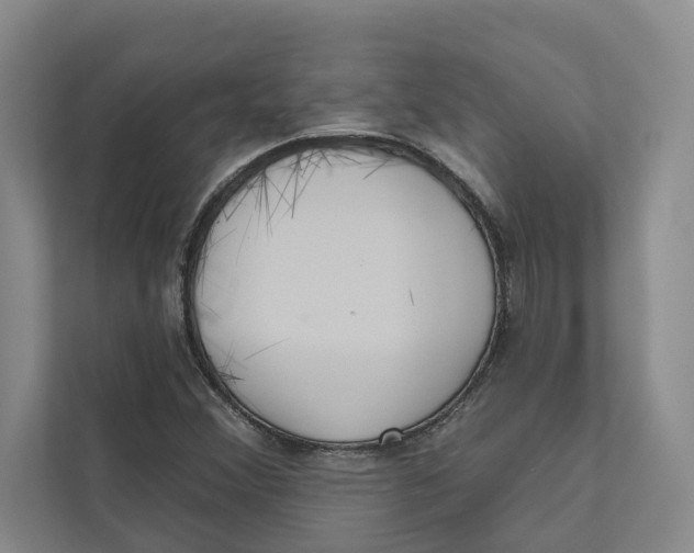 X0000111171356200907291115