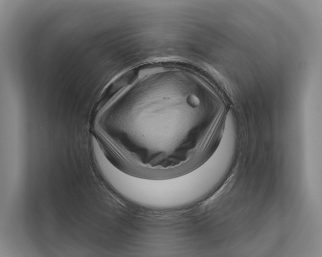 X0000111171361200907291114