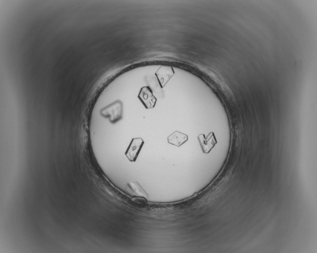 X0000111171363200907291114