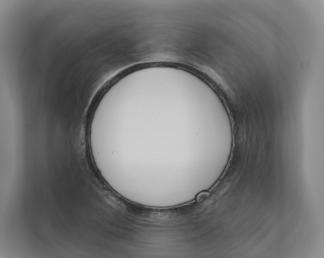 X0000111171364200907291114