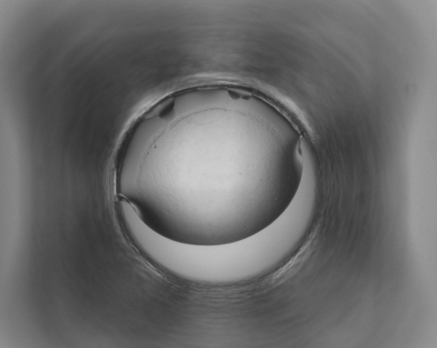 X0000111171365200907291114