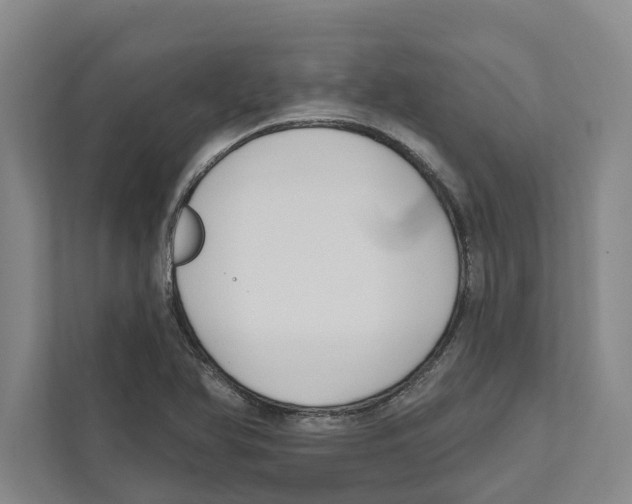 X0000111171366200907291114