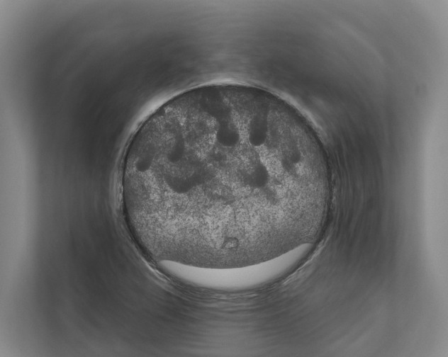 X0000111171367200907291114