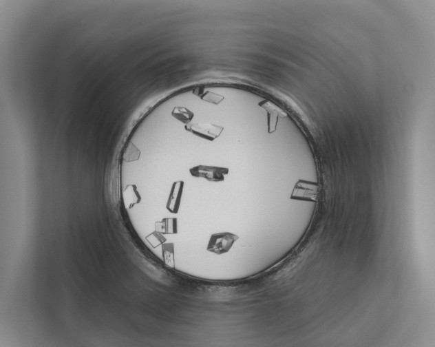 X0000111171371200907291114