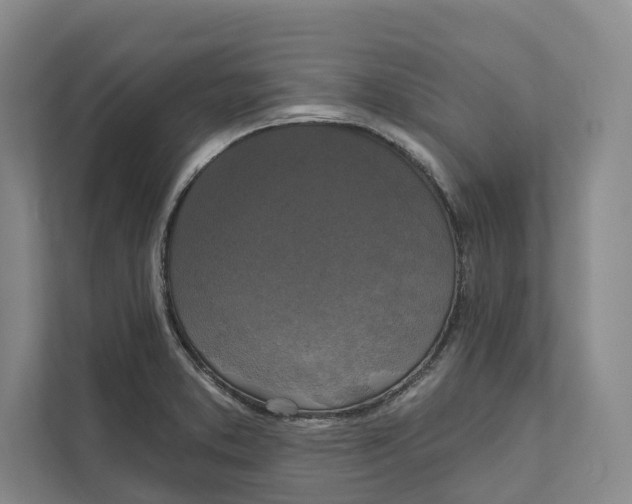 X0000111171373200907291114