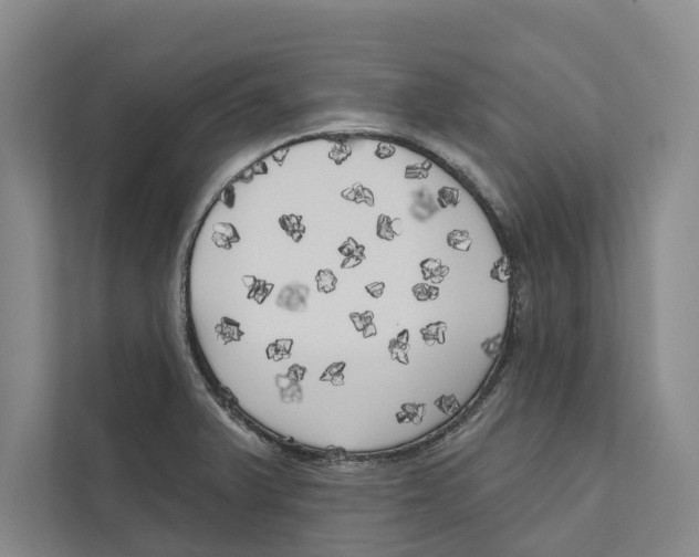X0000111171375200907291114