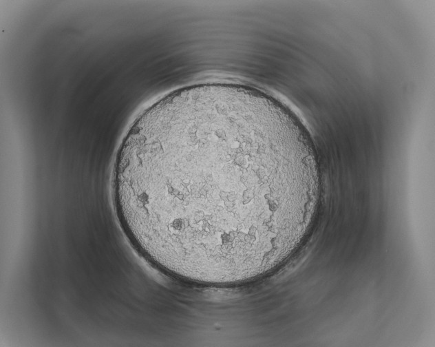 X0000111171379200907291114