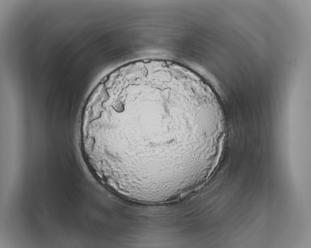 X0000111171383200907291114