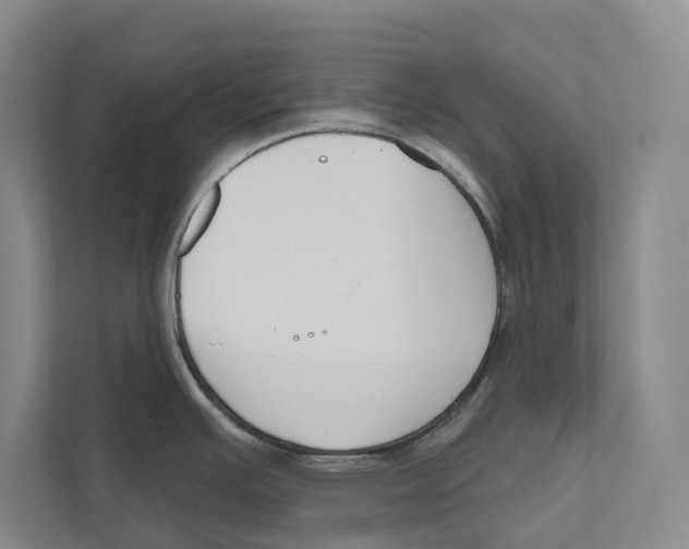 X0000111171391200907291114