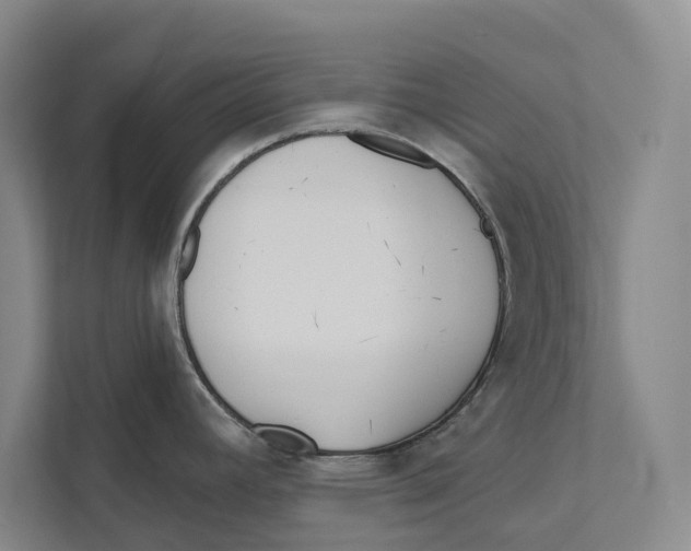 X0000111171392200907291114