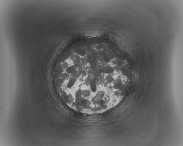 X0000111171393200907291113