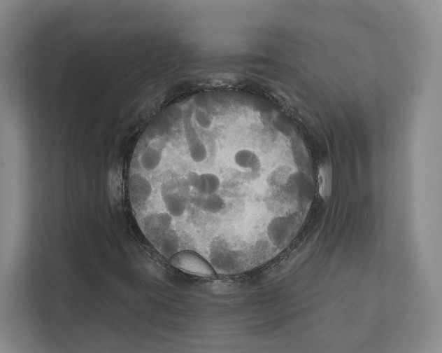 X0000111171395200907291113