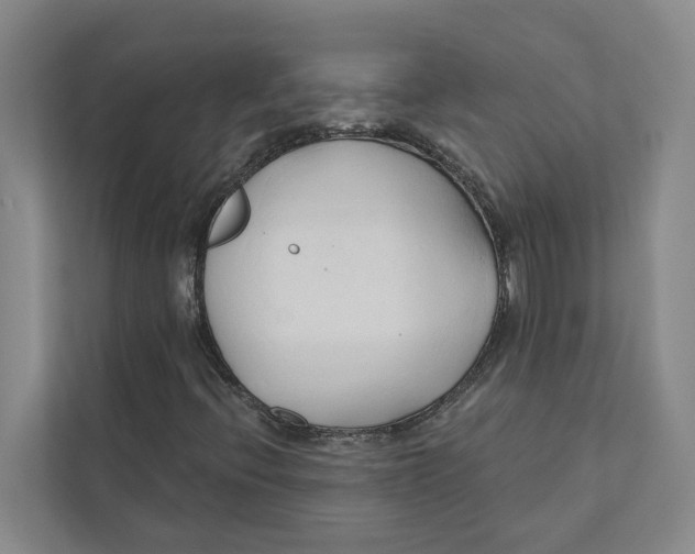 X0000111171396200907291113