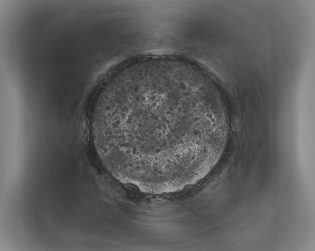 X0000111171398200907291113