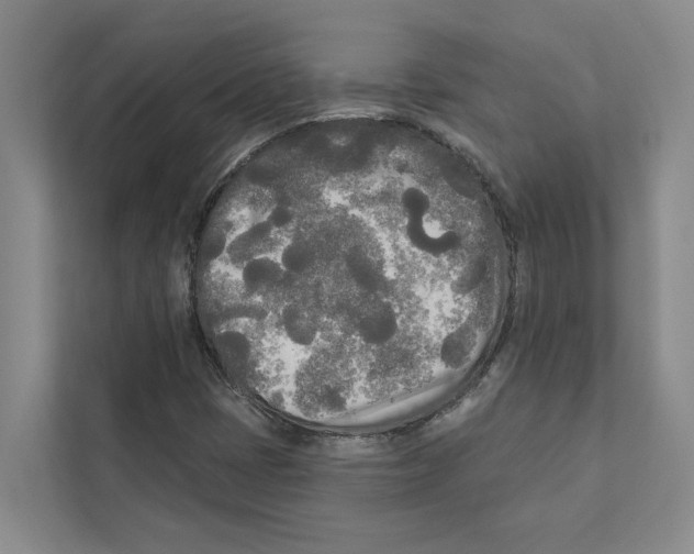 X0000111171401200907291114