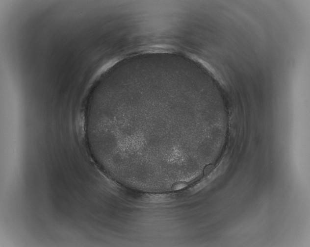 X0000111171402200907291114