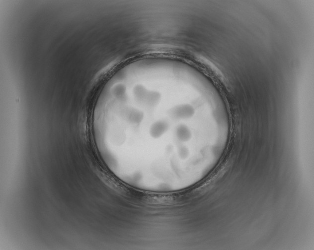 X0000111171403200907291114