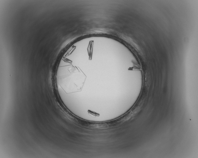 X0000111171404200907291114