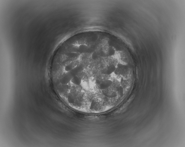 X0000111171405200907291114