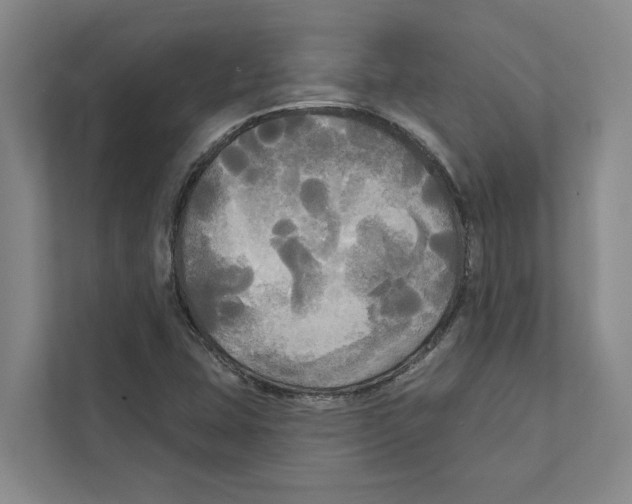 X0000111171407200907291114