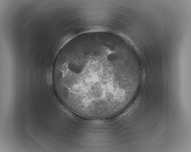 X0000111171409200907291114