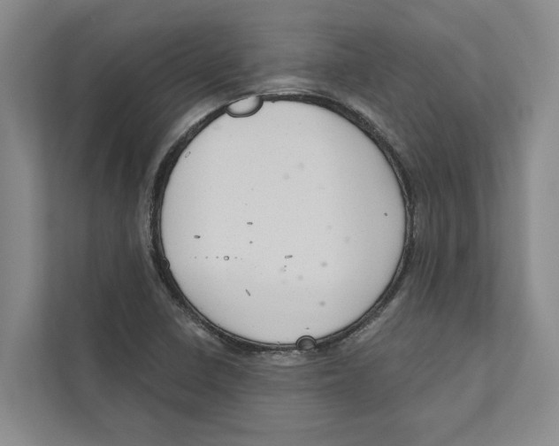 X0000111171410200907291114