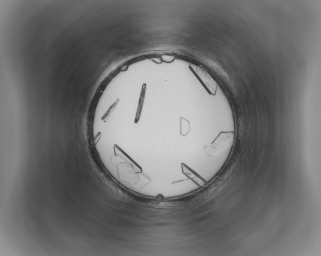 X0000111171412200907291114