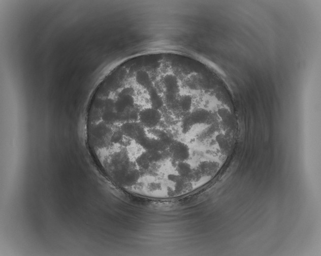 X0000111171415200907291114