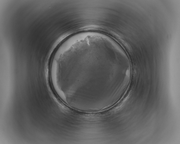 X0000111171418200907291114