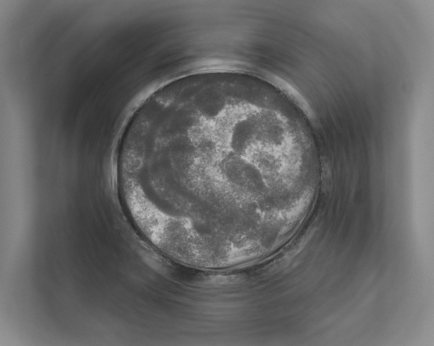 X0000111171419200907291114