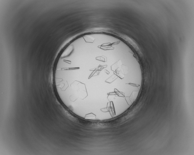X0000111171420200907291114