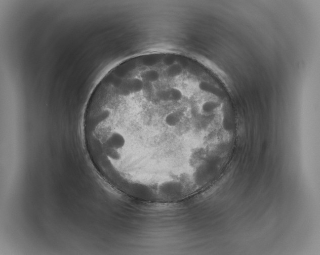 X0000111171423200907291114