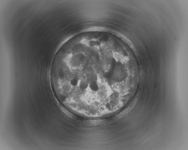 X0000111171425200907291114