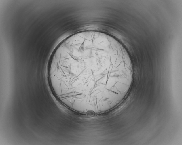 X0000111171426200907291114
