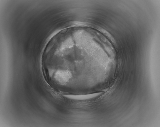 X0000111171427200907291114