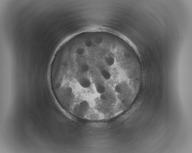 X0000111171429200907291114